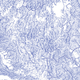 Illustration for article titled A map of all the rivers in the United States, and nothing else